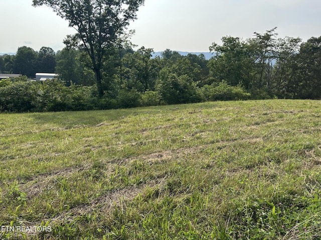 Wagon Ln, Speedwell, TN 37870