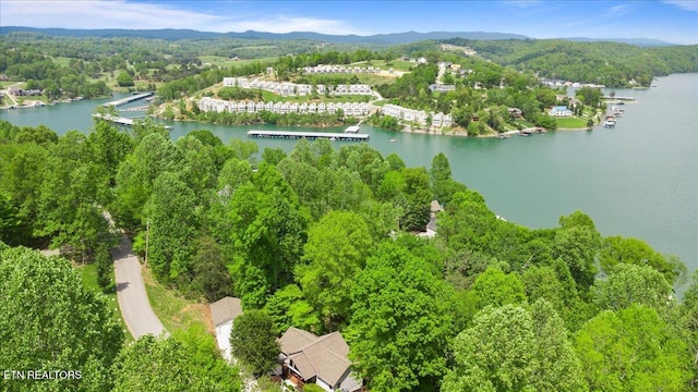 334 Little Buck Ln, Lafollette, TN 37766 - aerial view of property and surrounding area with a water and mountain view and a forest