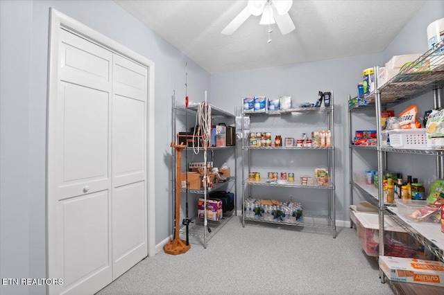 334 Little Buck Ln, Lafollette, TN 37766 - view of pantry