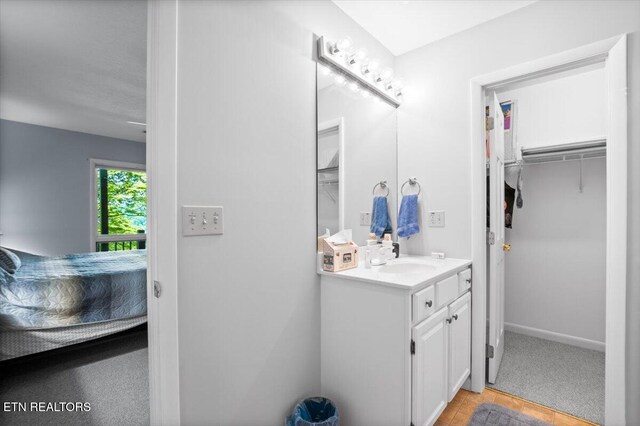 334 Little Buck Ln, Lafollette, TN 37766 - ensuite bathroom with vanity, a walk in closet, and baseboards