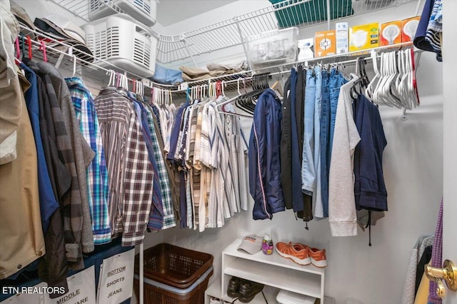 334 Little Buck Ln, Lafollette, TN 37766 - view of walk in closet