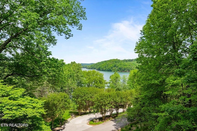 334 Little Buck Ln, Lafollette, TN 37766 - water view featuring a heavily wooded area