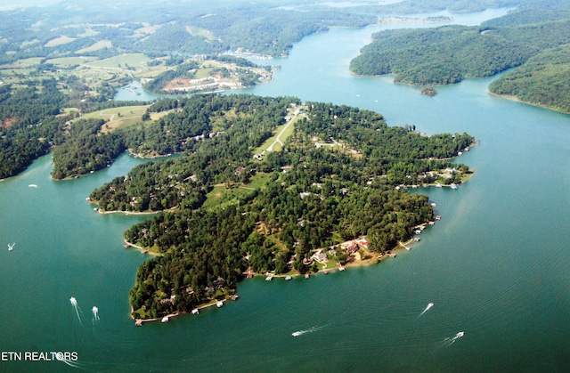 334 Little Buck Ln, Lafollette, TN 37766 - aerial view of a large body of water and a heavily wooded area