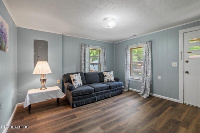 147 Cove Hollow Rd, Lafollette, TN 37766 - living area featuring crown molding, electric panel, wood finished floors, baseboards, and a textured ceiling
