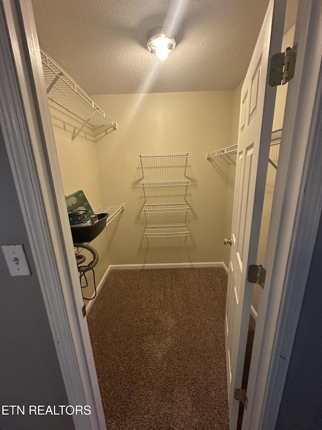 1847 Andy Ln, Maryville, TN 37803 - photo 17
