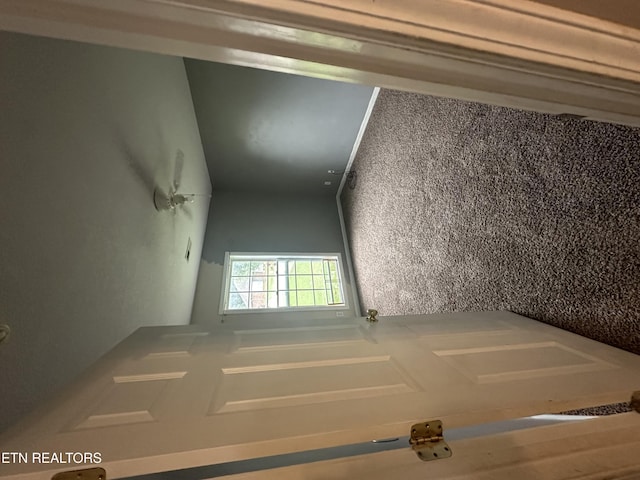 1847 Andy Ln, Maryville, TN 37803 - photo 22