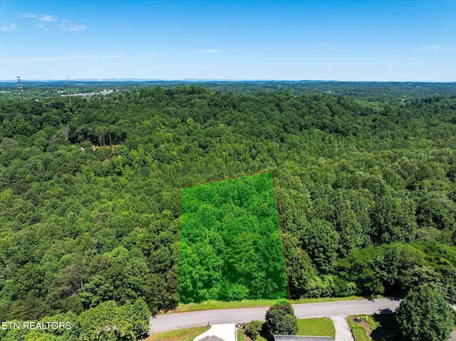 000 Chestnut Hill Dr, Athens, TN 37303 - photo 1