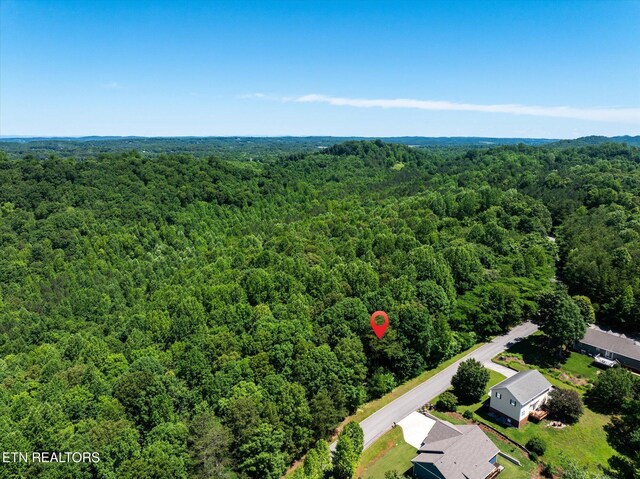 000 Chestnut Hill Dr, Athens, TN 37303 - photo 3