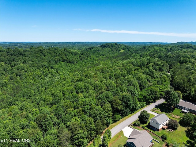 000 Chestnut Hill Dr, Athens, TN 37303 - photo 4