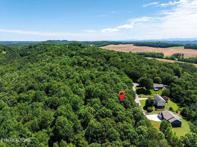 000 Chestnut Hill Dr, Athens, TN 37303 - photo 5