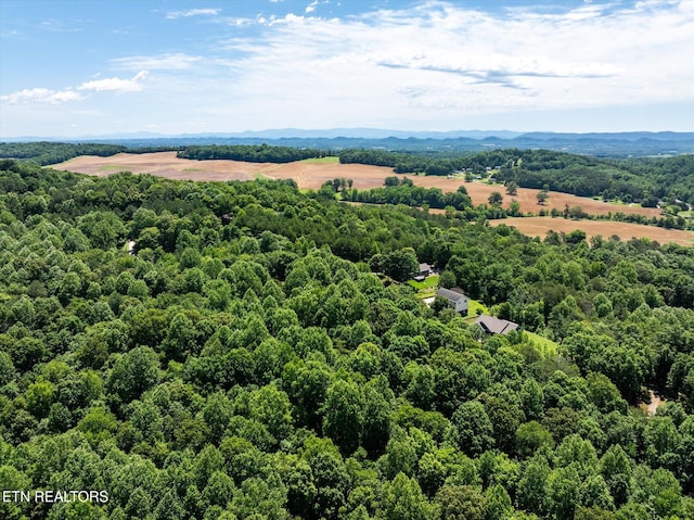000 Chestnut Hill Dr, Athens, TN 37303 - photo 8