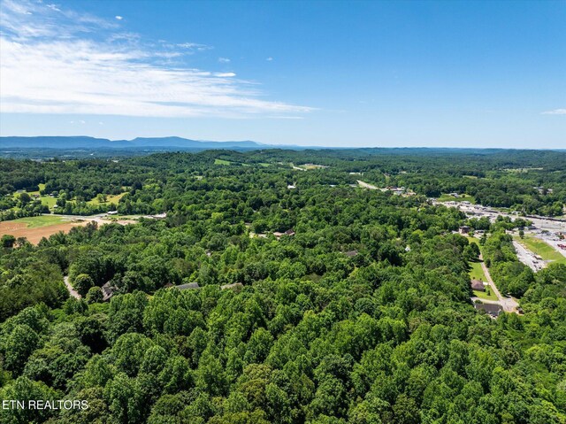 000 Chestnut Hill Dr, Athens, TN 37303 - photo 12