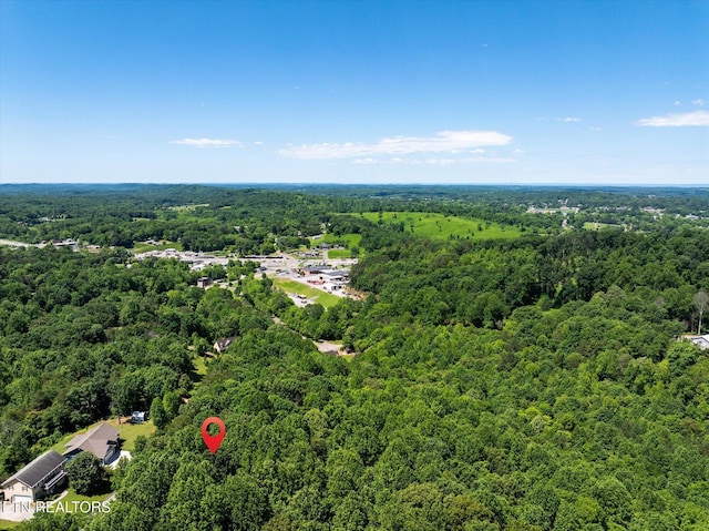 000 Chestnut Hill Dr, Athens, TN 37303 - photo 13