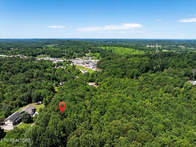 000 Chestnut Hill Dr, Athens, TN 37303 - photo 15