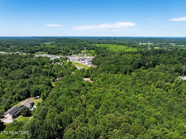 000 Chestnut Hill Dr, Athens, TN 37303 - photo 16