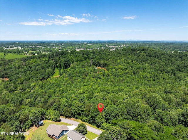 000 Chestnut Hill Dr, Athens, TN 37303 - photo 17