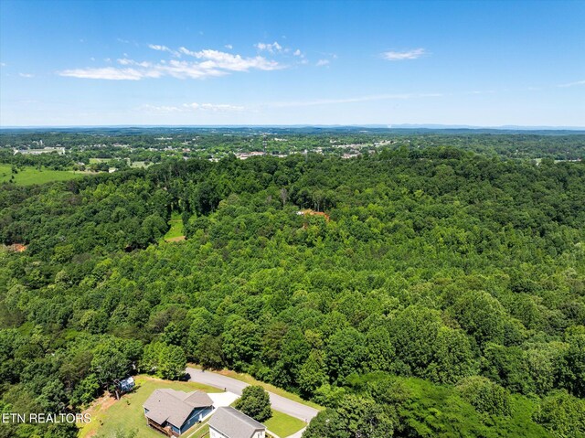 000 Chestnut Hill Dr, Athens, TN 37303 - photo 18