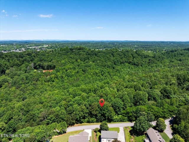 000 Chestnut Hill Dr, Athens, TN 37303 - photo 19