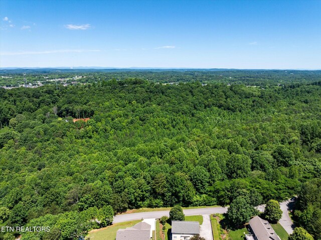 000 Chestnut Hill Dr, Athens, TN 37303 - photo 20