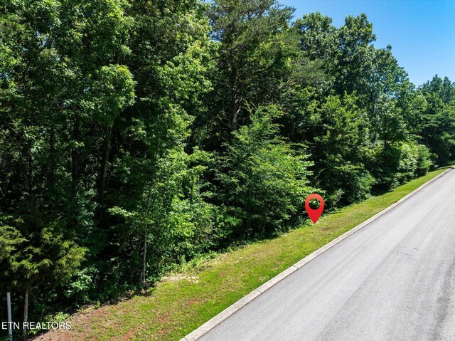 000 Chestnut Hill Dr, Athens, TN 37303 - photo 22