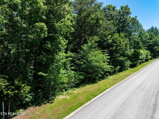 000 Chestnut Hill Dr, Athens, TN 37303 - photo 23