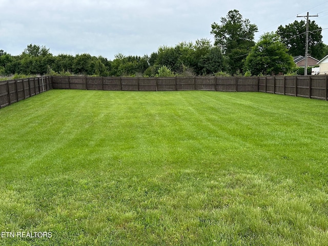 1017 Brighton Dr, Alcoa, TN 37701 - view of yard