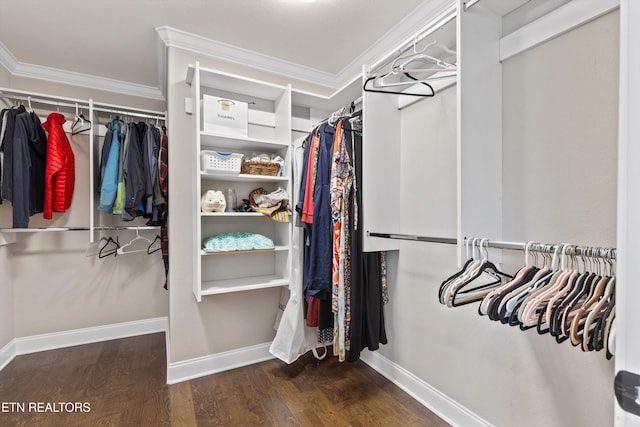 1017 Brighton Dr, Alcoa, TN 37701 - walk in closet with wood finished floors