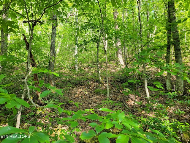 LOT27 Black Oak Dr, Sevierville, TN 37876 - photo 1