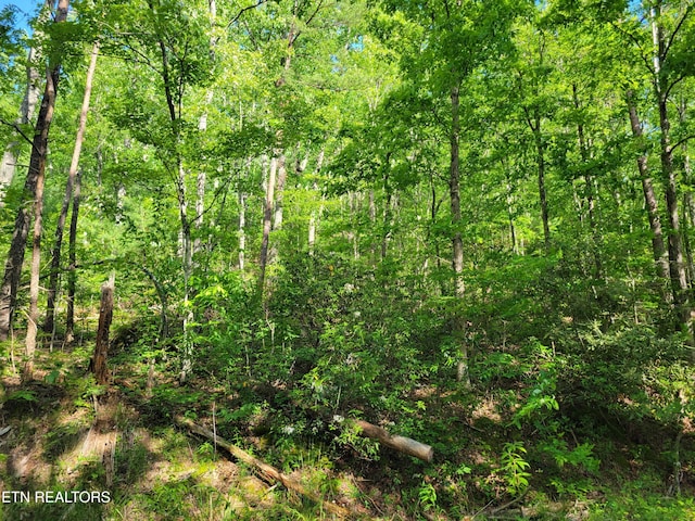 LOT27 Black Oak Dr, Sevierville, TN 37876 - photo 2