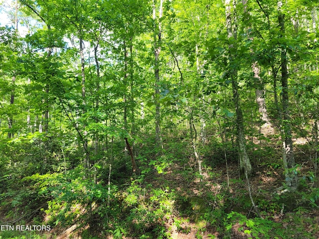 LOT27 Black Oak Dr, Sevierville, TN 37876 - photo 3