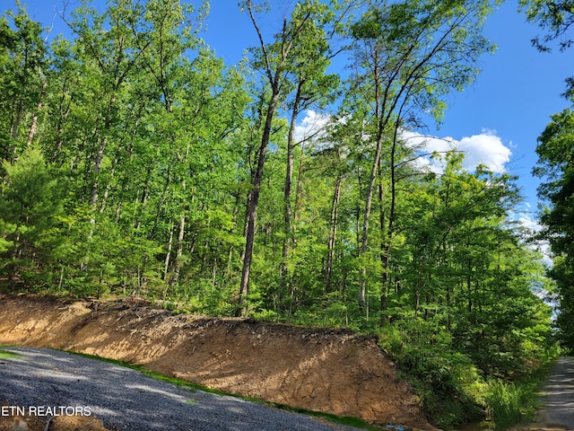 LOT27 Black Oak Dr, Sevierville, TN 37876 - photo 5