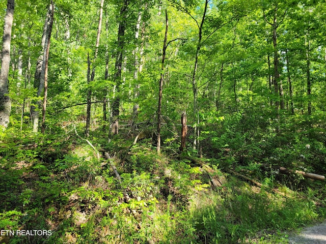 LOT27 Black Oak Dr, Sevierville, TN 37876 - photo 4