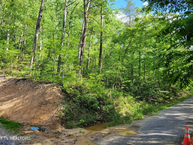 LOT27 Black Oak Dr, Sevierville, TN 37876 - photo 6