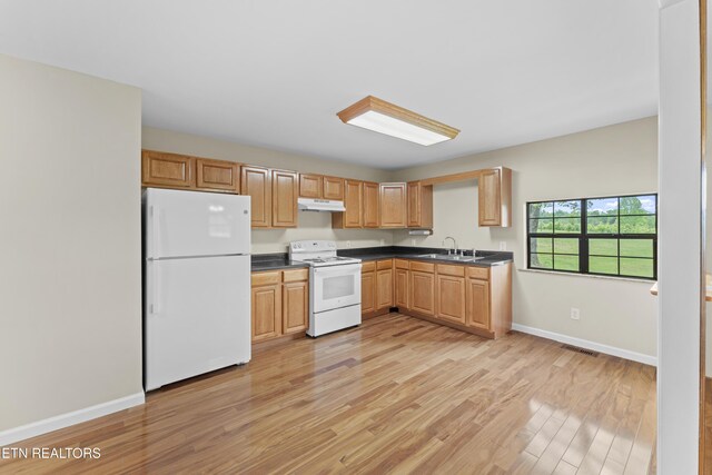 292 Buckner Rd, Philadelphia, TN 37846 - kitchen featuring white appliances, under cabinet range hood, dark countertops, and light wood-style floors