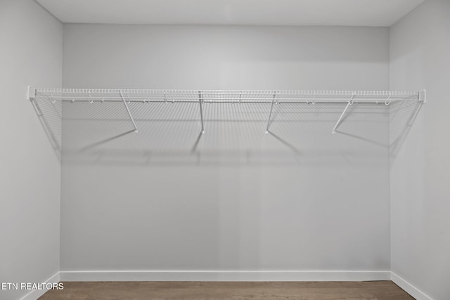 1219 NW Dakota Ave, Knoxville, TN 37921 - spacious closet featuring wood finished floors
