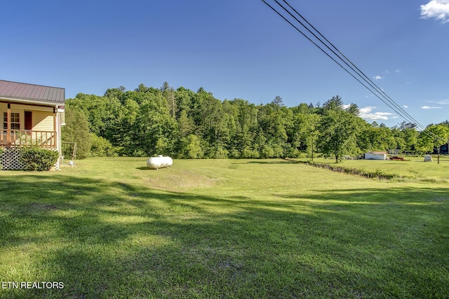 883 Old Harriman Hwy, Harriman, TN 37748 - view of green lawn