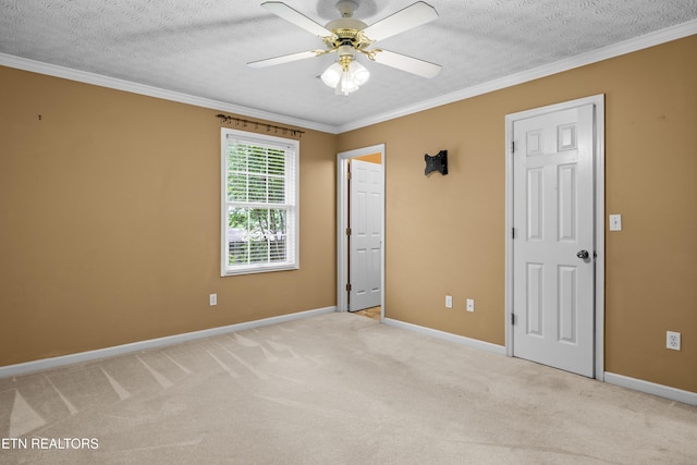 7245 Ghiradelli Rd, Knoxville, TN 37918 - photo 8