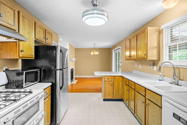 7245 Ghiradelli Rd, Knoxville, TN 37918 - photo 5