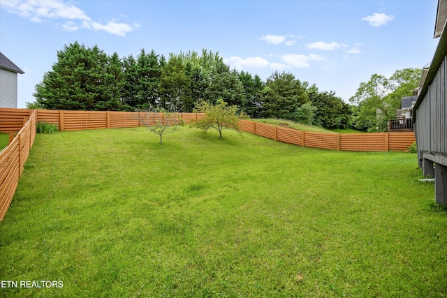9934 Thunderbolt Way, Knoxville, TN 37923 - view of yard