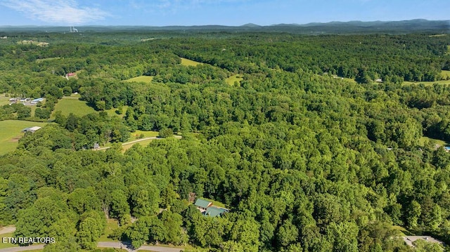257 Copenhaver Rd, Lenoir City, TN 37771 - aerial view of property and surrounding area with a forest