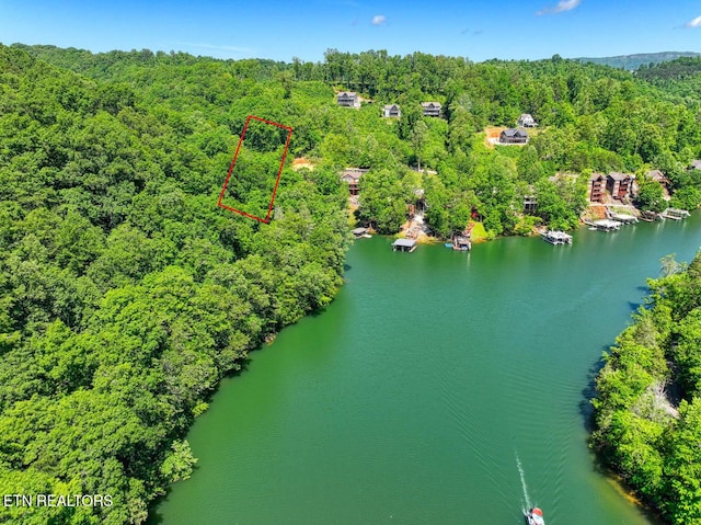 129 Bridgeview Ln, Lafollette, TN 37766 - aerial view of property and surrounding area featuring a heavily wooded area, property boundaries highlighted, and a nearby body of water
