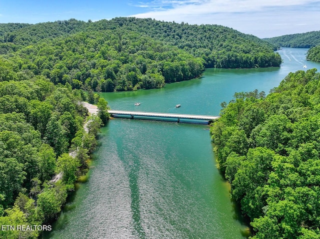 129 Bridgeview Ln, Lafollette, TN 37766 - bird's eye view of a forest and a nearby body of water