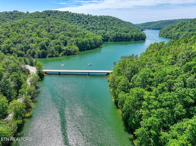 129 Bridgeview Ln, Lafollette, TN 37766 - aerial view of a heavily wooded area and a large body of water