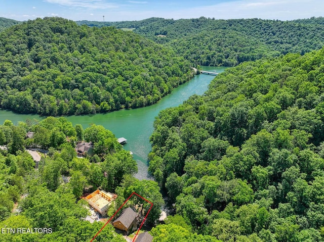 129 Bridgeview Ln, Lafollette, TN 37766 - view of property location with property boundaries highlighted, a large body of water, and a forest