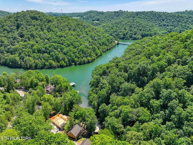 129 Bridgeview Ln, Lafollette, TN 37766 - bird's eye view of a nearby body of water and a heavily wooded area