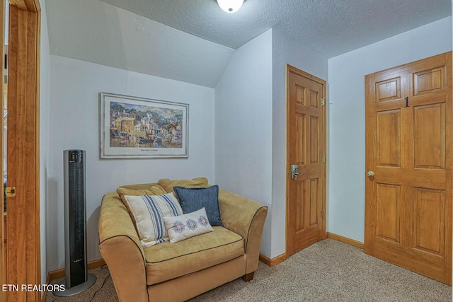 129 Bridgeview Ln, Lafollette, TN 37766 - sitting room featuring carpet floors, baseboards, a textured ceiling, vaulted ceiling, and a heating unit