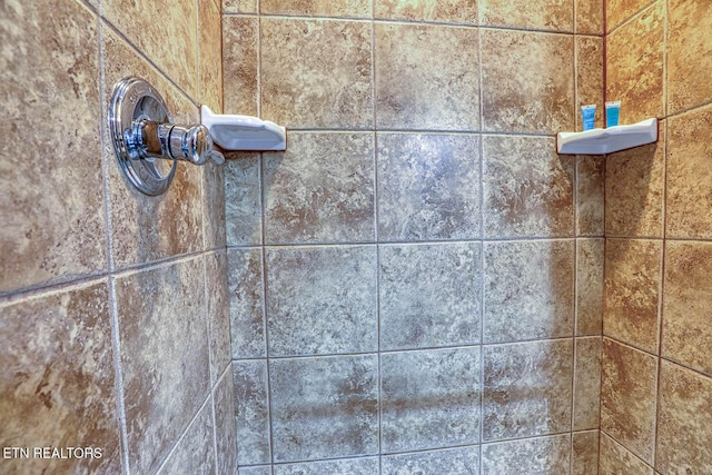 129 Bridgeview Ln, Lafollette, TN 37766 - bathroom view of tiled shower
