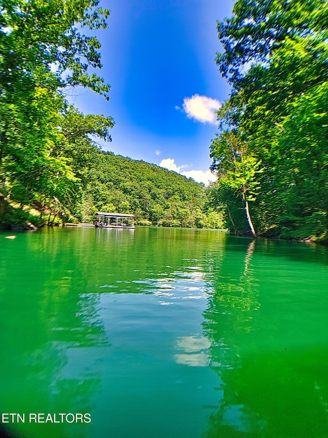129 Bridgeview Ln, Lafollette, TN 37766 - water view featuring a heavily wooded area