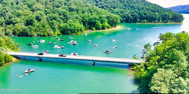 129 Bridgeview Ln, Lafollette, TN 37766 - drone / aerial view of a large body of water and a notable bridge