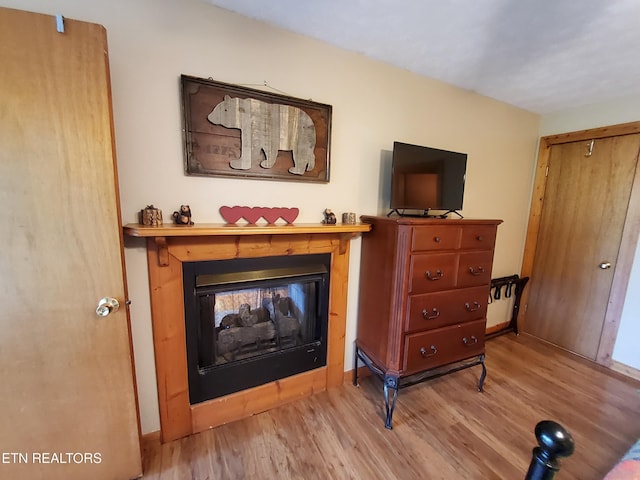 2859 Eagle Crest Way, Sevierville, TN 37876 - living room featuring wood finished floors and a multi sided fireplace